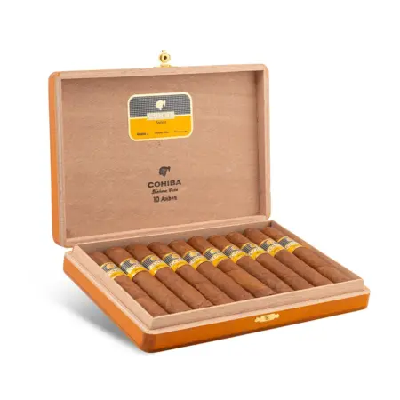 Cohiba Ambar Box Of 10 1
