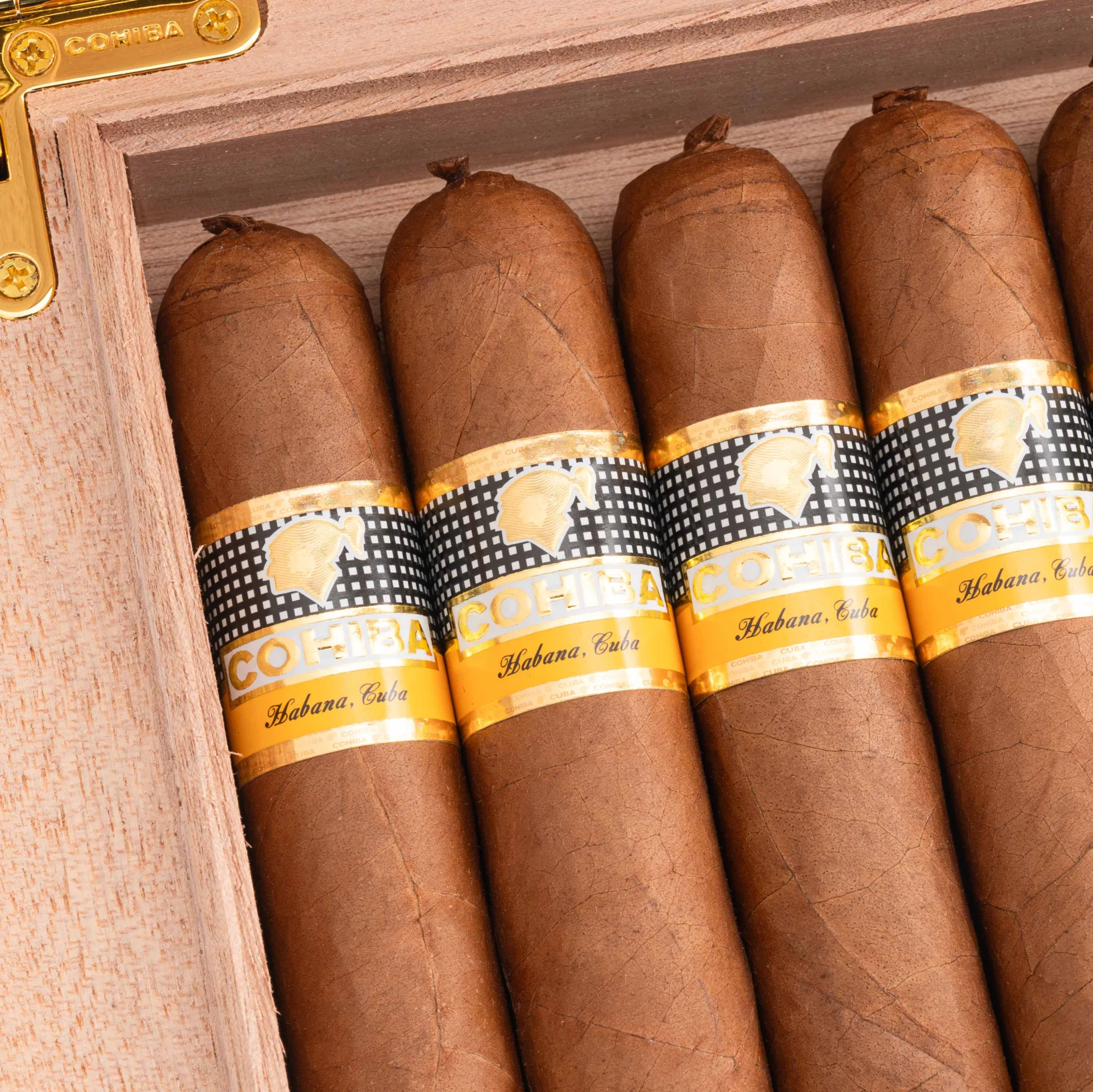 Cohiba Vistosos Travel Humidor Box Of 10 3