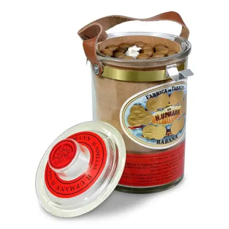 H Upmann Noellas Glass Jar Lcdh Box Of 25 1