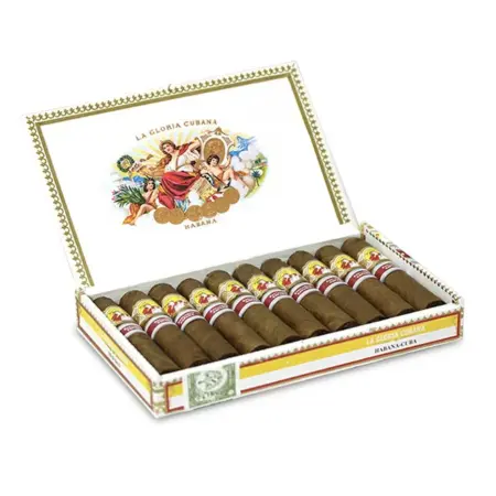 La Gloria Cubana Serie D No 5 2017 Regional Edition Box Of 10 1
