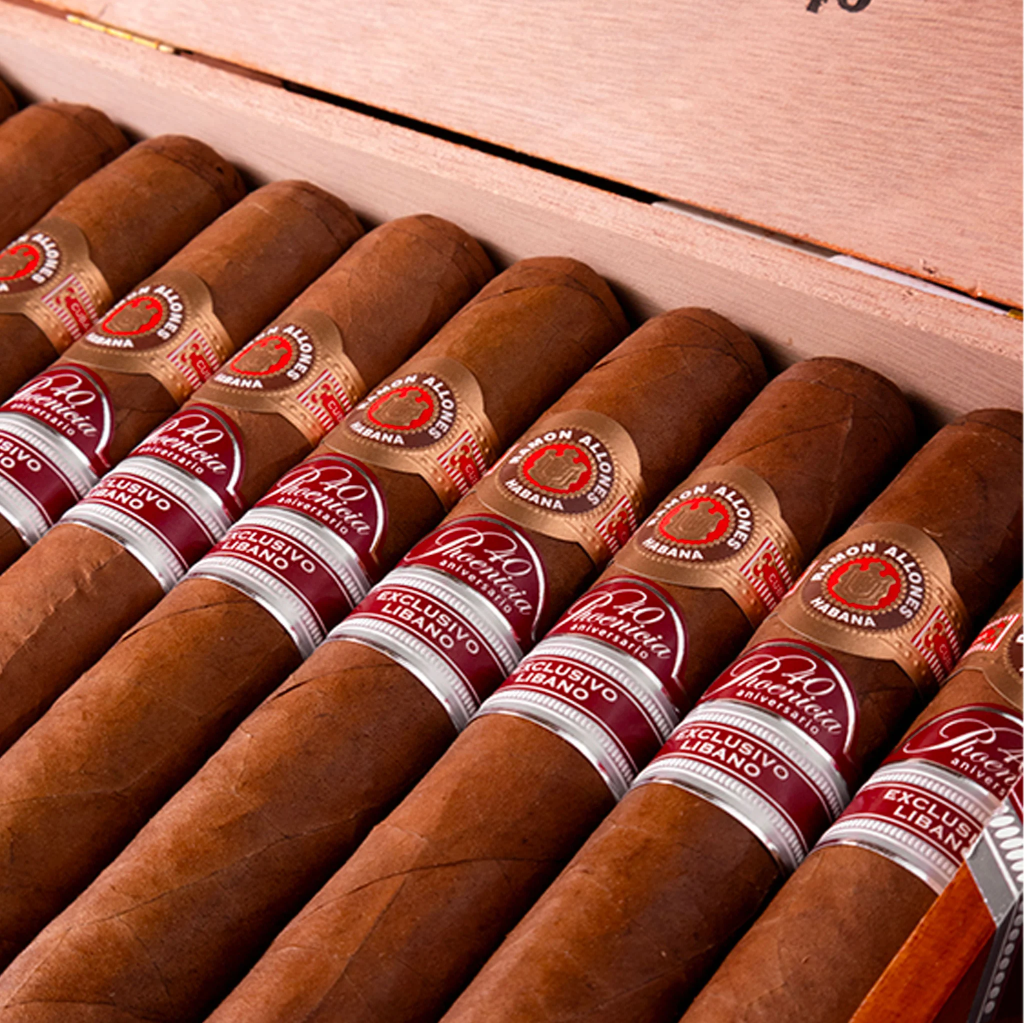 Ramon Allones Phoenicio 40th Anniversary Libano 2019 Regional Edition Box Of 10 3