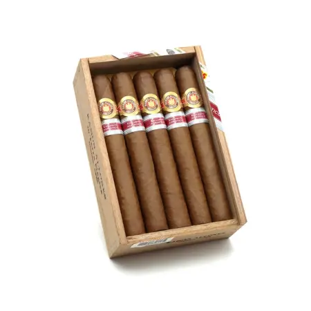 Ramon Allones Terra Magica Adriatico 2016 Regional Edition Box Of 10 1