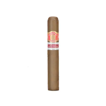 Saint Luis Rey Herfing 2017 Regional Limited Edition Box Of 10 1